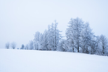 Winter landscape covered in snow and frost, highlands landscape with trees and meadows