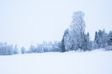 Fototapeta premium Winter landscape covered in snow and frost, highlands landscape with trees and meadows