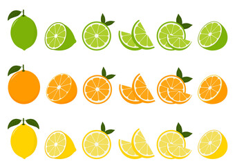Big vector set of citrus fruits.Orange,lemon and lime icons on white background