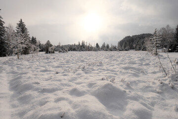 Fototapeta na wymiar Winterlandschaft im Tiefenberger Moos.