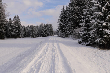 Fototapeta premium Winterlandschaft im Tiefenberger Moos.