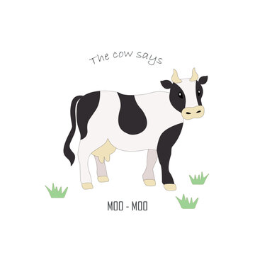Vector realistic drawn spotted standing cow on a light background. Educational card with domestic farm animal