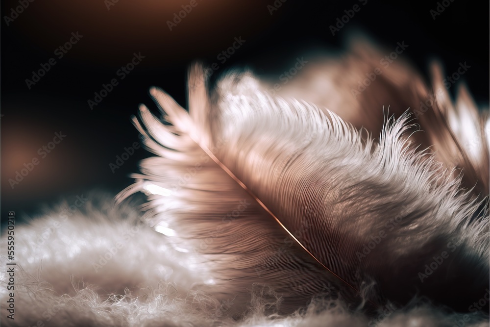 Poster a feather is laying on a fluffy surface with a blurry background of the feathers and the feathers ar