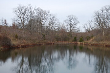 Fototapeta na wymiar Pond In Louisville Kentucky Fall 2022