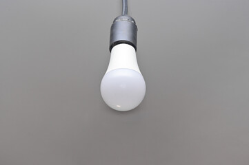 electric light bulb. energy saving concept