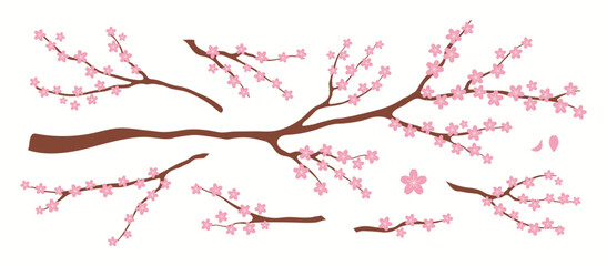 Sakura blossoms, cherry flowers, tree branch, floral design elements collection, clipart set, isolated on white. Hand drawn vector illustration. Modern flat style. Spring promotion, sale, advertising