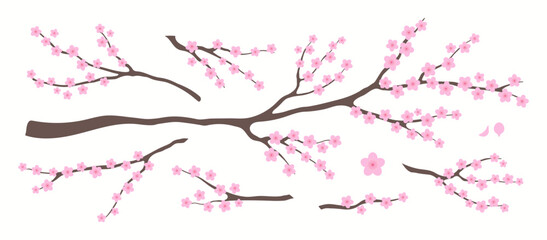 Plum blossoms, flowers, tree branch, floral design elements collection, clipart set, isolated on white. Hand drawn vector illustration. Modern flat style. Spring, Lunar New Year card, poster, banner