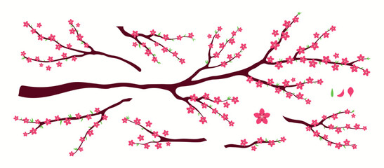 Peach blossoms, flowers, tree branch, floral design elements collection, clipart set, isolated on white. Hand drawn vector illustration. Modern flat style. Spring, Lunar New Year Tet poster, banner