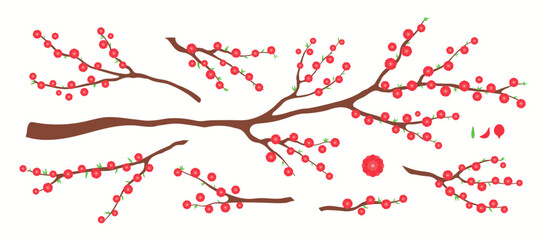 Peach blossoms, flowers, tree branch, floral design elements collection, clipart set, isolated on white. Hand drawn vector illustration. Modern flat style. Spring, Lunar New Year Tet poster, banner