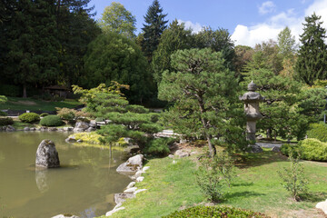 Japanese garden lake in Seattle.