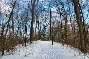Beneath a partly cloudy blue sky on a winter day in Wisconsin, fresh snow blankets a forested, hilly landscape along a segment of the Ice Age Trail.