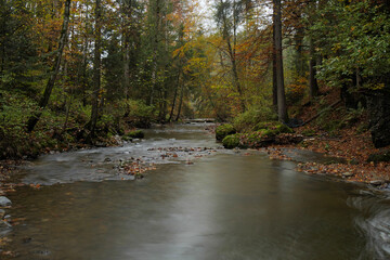 Am Geratser Wasserfall im Allgäu.