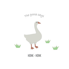 Goose flat vector illustration. Educational card for children with farm animal. Meat production, bird breeding. Poultry farm, animal husbandry