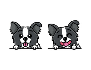 CUTE BORDER COLLIE IN TWO DIFFERENT MOTION