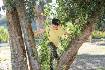 Naklejka na ściany i meble Little kid climbing tree and looking down and smiling on spring day in forest. Happy boy playing in tree. Micro moments of joy.