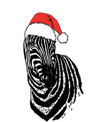 Vector zebra portrait in red Santa Claus hat on white isolated, Christmas illustration