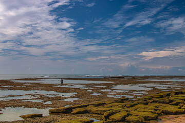 Man fishing on coral reefs during low tide.