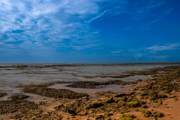 coral reefs exposed at low tide.