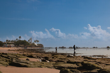 Artisanal fishermen looking for shellfish at low tide