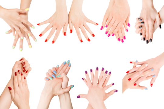 Woman hands with different nail polish collection. Isolated png with transparency