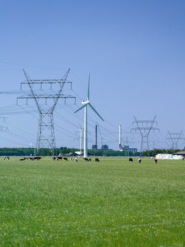 Wind Farm, Electrical Lines, Flevoland, The Netherlands