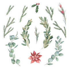 Watercolor Christmas collection. Hand drawn isolated eucalyptus, holly; mistletoe; poinsettia on white background