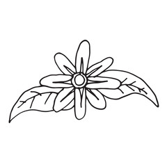 Flower hand drawn vector design template