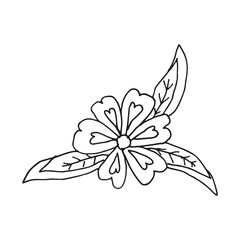 Flower hand drawn vector design template