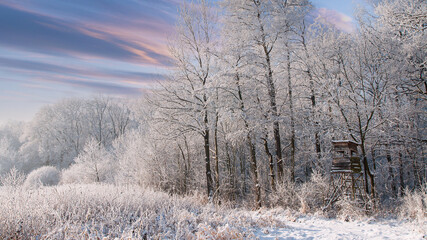 Zimowe krajobrazy. ośnieżone drzewa ,zaśnieżony las i skute lodem rzeczki.