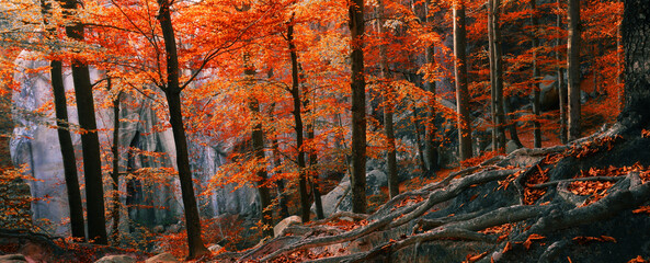 autumn morning scenery, nature colorful background, Germany, Europe. - obrazy, fototapety, plakaty