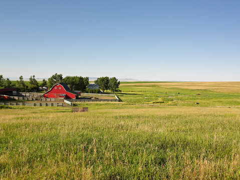 Farm, Pincher Creek, Alberta, Canada