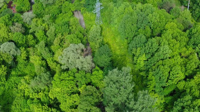 Clean Electricity Concept: metal high-voltage power pole in a green forest among trees on a warm summer day. Eco-friendly electricity. Technology and environmental conservation: energy transmission.