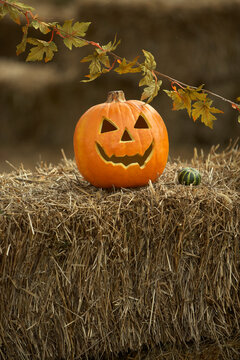 Jack-o-lantern on Hay Bale, Ontario, Canada