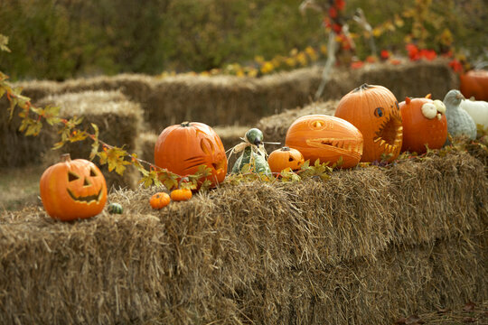 Jack-o-lanterns on Hay Bales, Toronto, Ontario, Canada