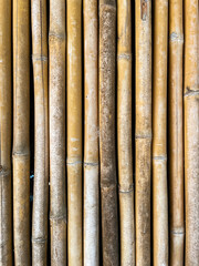 Full frame Bamboo wall background