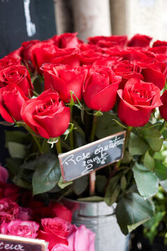 Close-up of bunch of Red Roses for sale, Paris, France