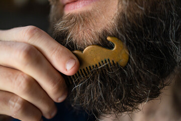 Cropped portrait shot of stylish serious man with handsome beard. Bearded man comb his beard.