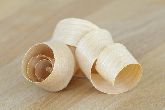 Close-up of Wood Shaving