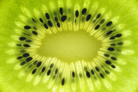 Close-up of inside of Kiwi Fruit