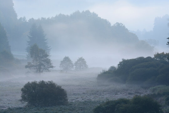 Valley in morning mist, Spessart, Bavaria, Germany, Europe