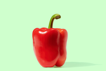 Red pepper on green pastel background