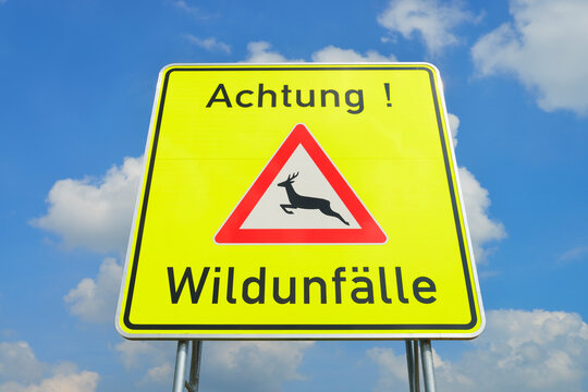 Deer Crossing Sign, Odenwald, Hesse, Germany
