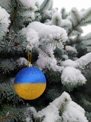 Christmas shiny blue-yellow bauble  on branch of spruce tree with snow outdoors. The Christmas ball is decorated with the colors of the flag of Ukraine. Yellow and blue glittering ball on snowed tree