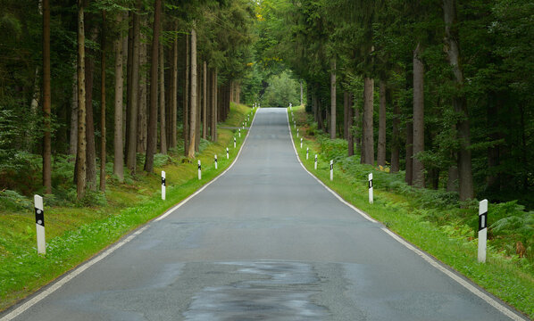 Road Through Forest, Odenwald, Hesse, Germany