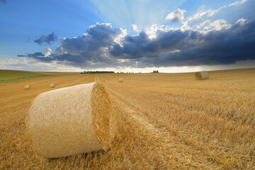 Straw rolls on stubblefield and rain clouds, Hesse, Germany, Europe