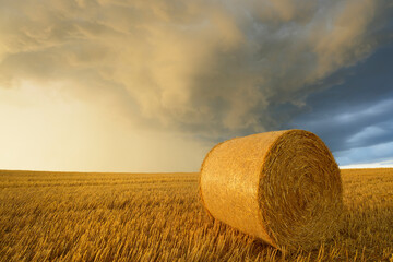 Straw rolls on stubblefield and rain clouds, Hesse, Germany, Europe