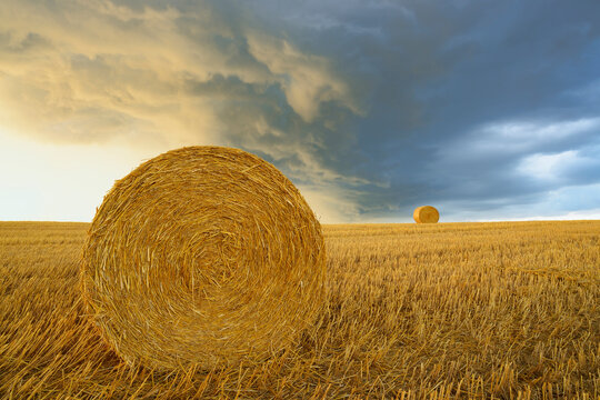 Straw rolls on stubblefield and rain clouds, Hesse, Germany, Europe