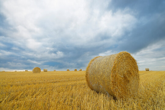 Straw rolls on stubblefield and rain clouds, Hesse, Germany, Europe