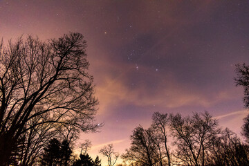 Fototapeta na wymiar Starry night over forest