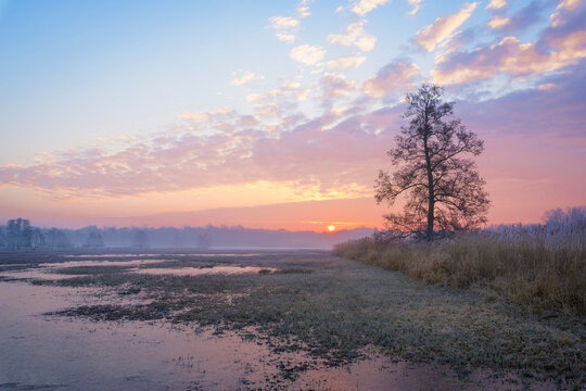 Wetlands Landscape at Sunrise in February in Hesse, Germany